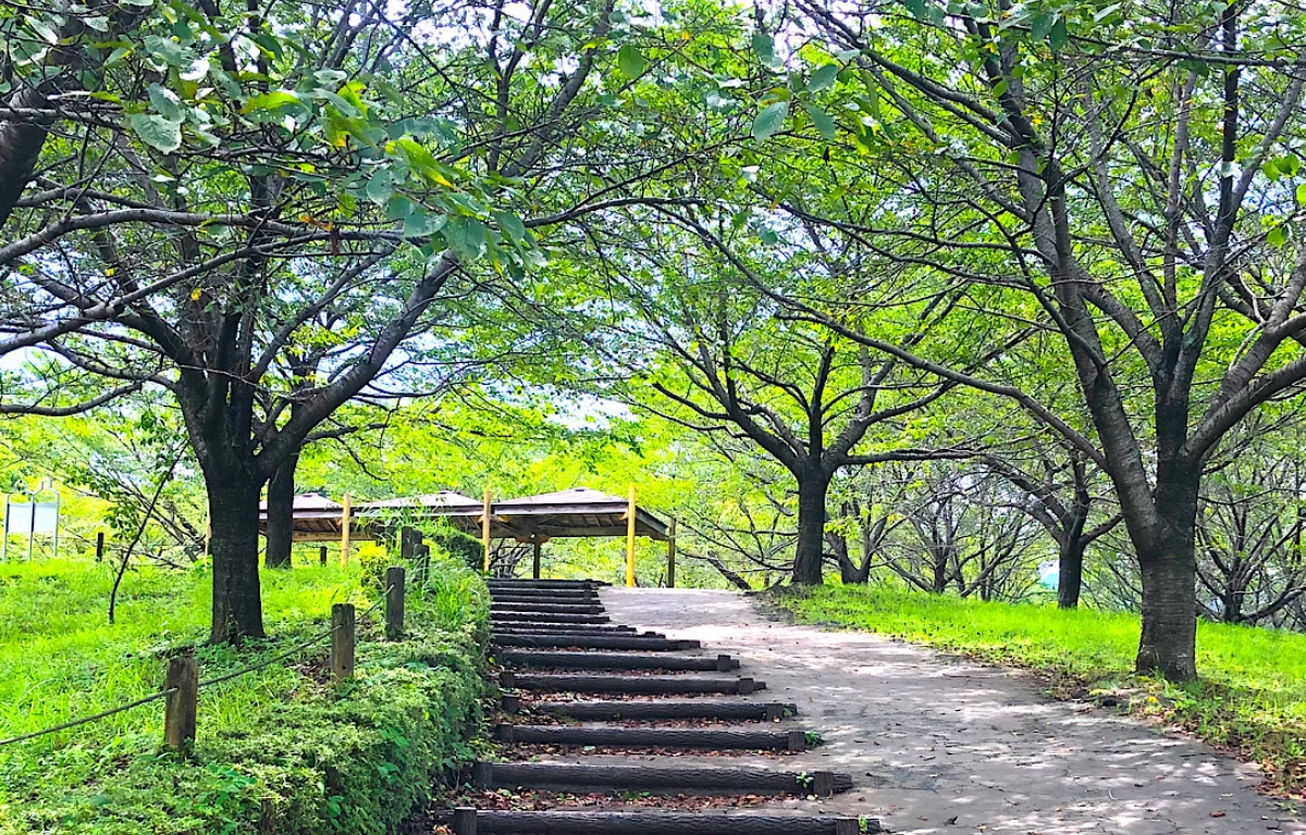 セミの声を聞くと、ちょっとだけ実家を思い出す